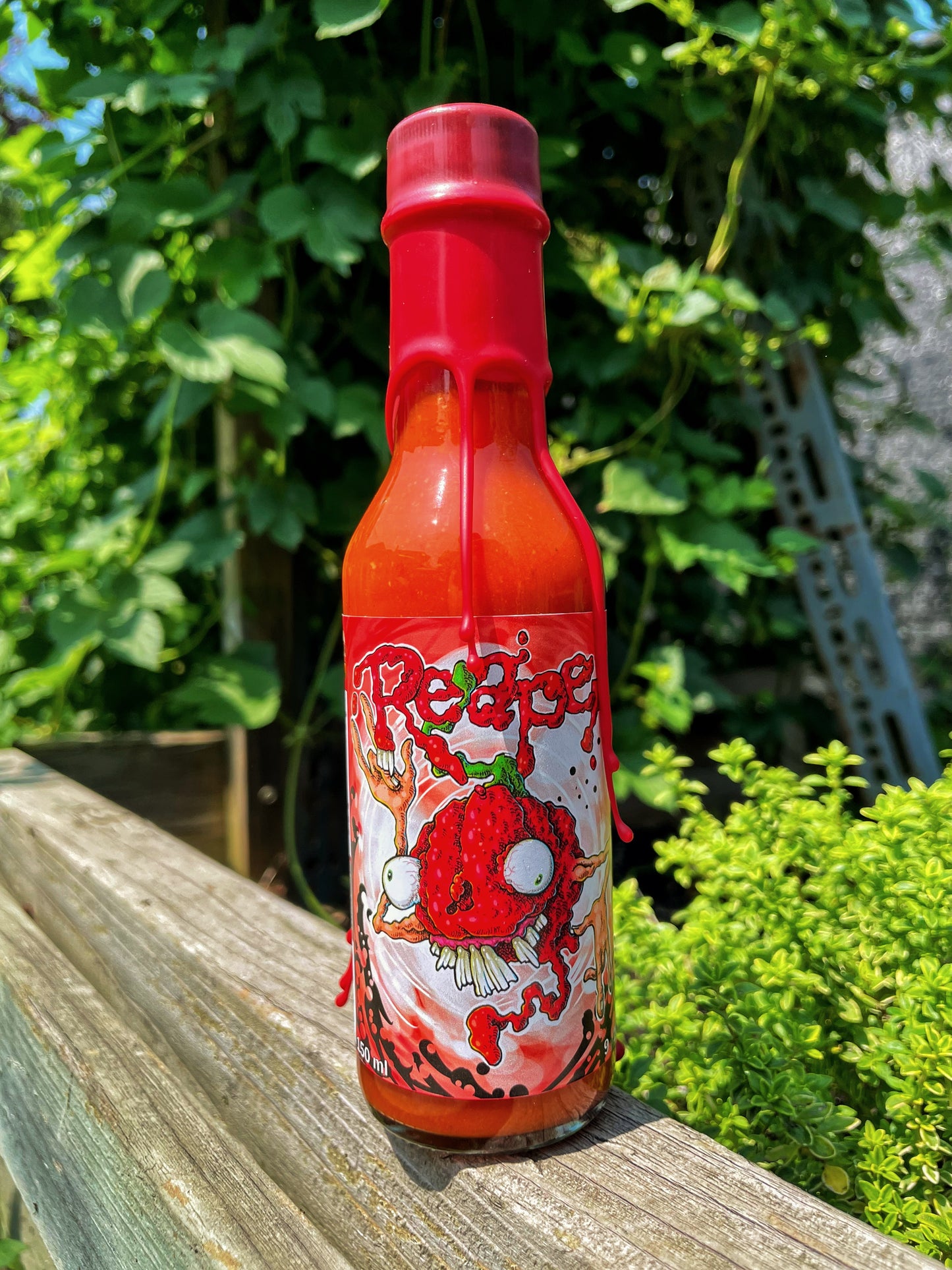 (9/10) - CAROLINA REAPER